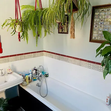 Holiday home Characterful Victorian Terrace With Parking 10 Min Walk To The York
